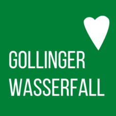 www.gollinger-wasserfall.com