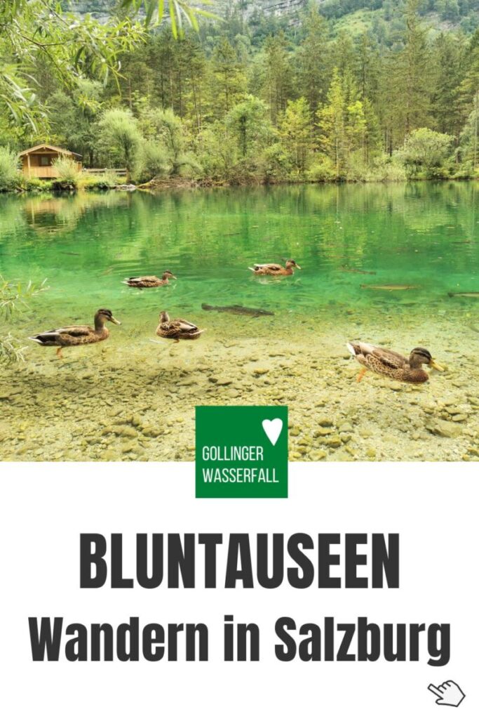 Bluntausee