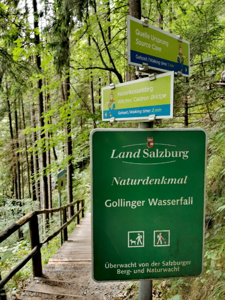 Rund um das Naturdenkmal Gollinger Wasserfall wandern