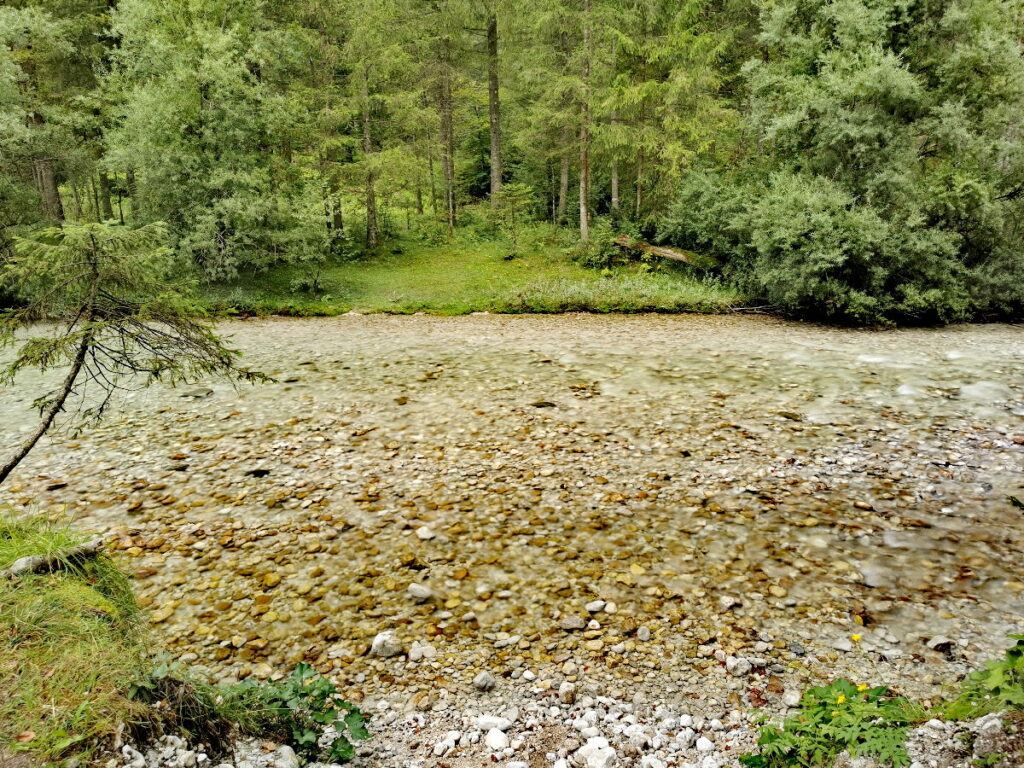 Glasklar ist der Bach im Bluntautal - an heißen Tagen eine angenehme Abkühlung!