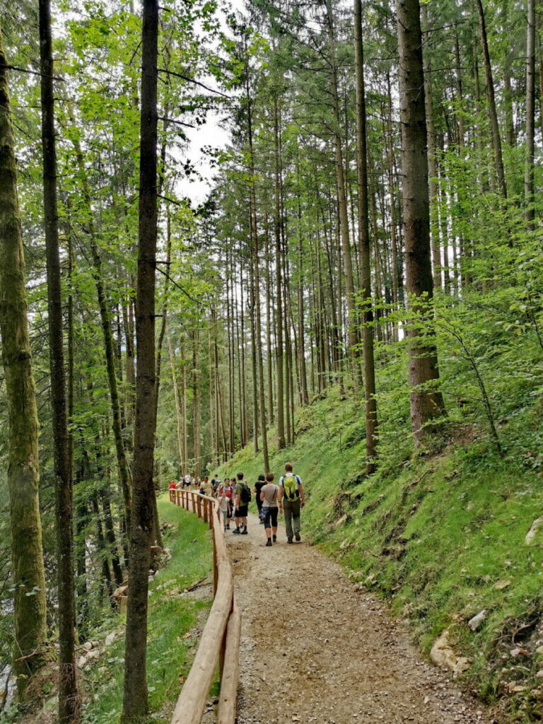 Gollinger Wasserfall Wanderung - vom Kassenhaus zur Wasserfall Arena