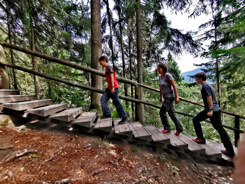 Neben dem Gollinger Wasserfall führt diese Holztreppe durch den Wald hinauf