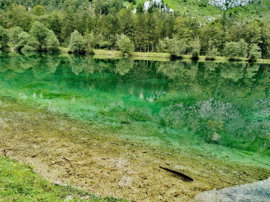 Der glasklar grün schimmernde obere Bluntausee: Siehst du den Fisch?