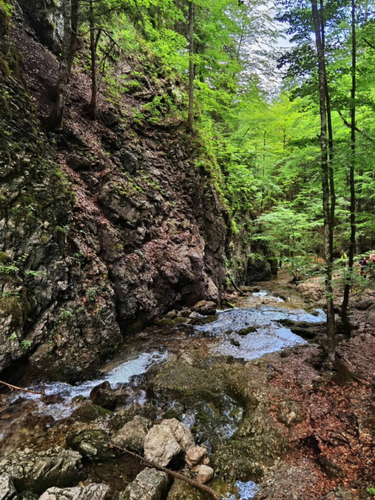 schöne Wasserfälle