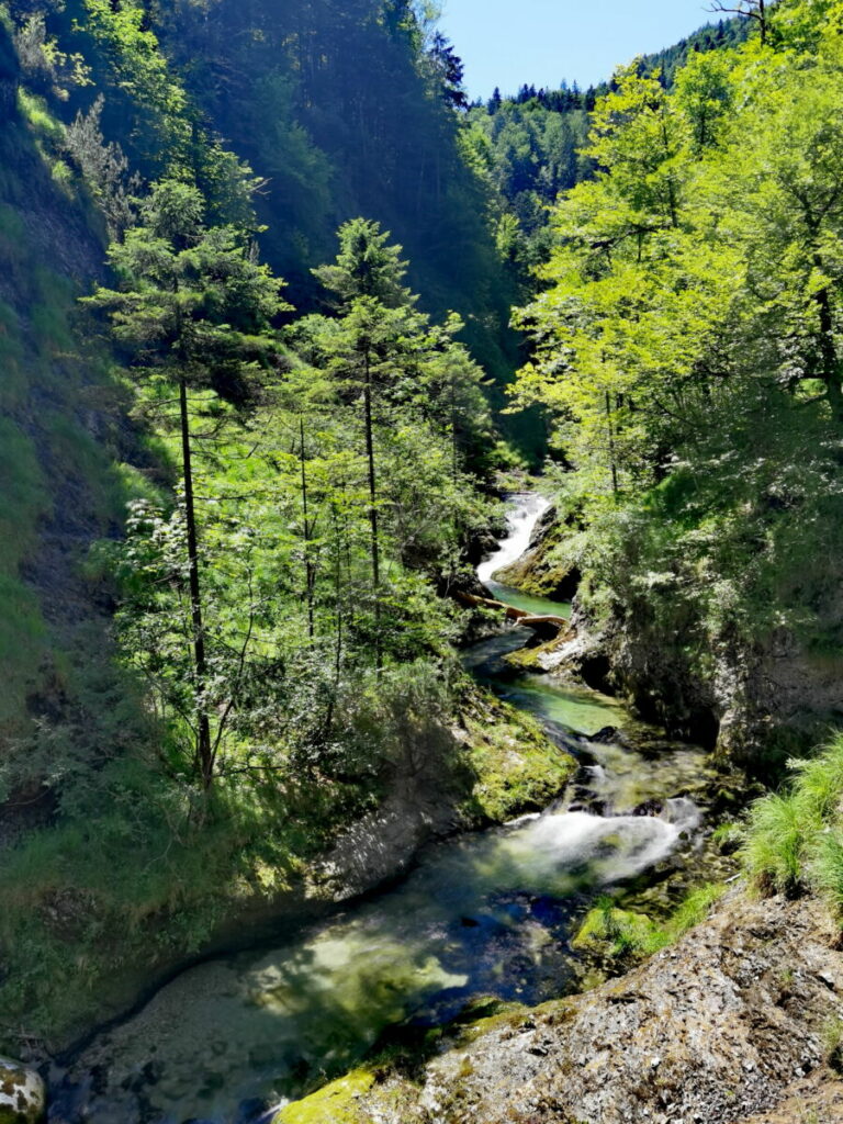 schöne Wasserfälle, die nicht jeder kennt - in der Weißbachschlucht